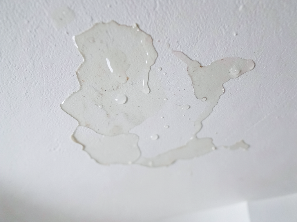 Why Your Attic Insulation Might Be Killing Your New Roof in North Philly